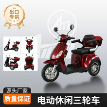 外貿電動三輪車后置大容量密封儲物箱快遞取件個人代步車靈活方便