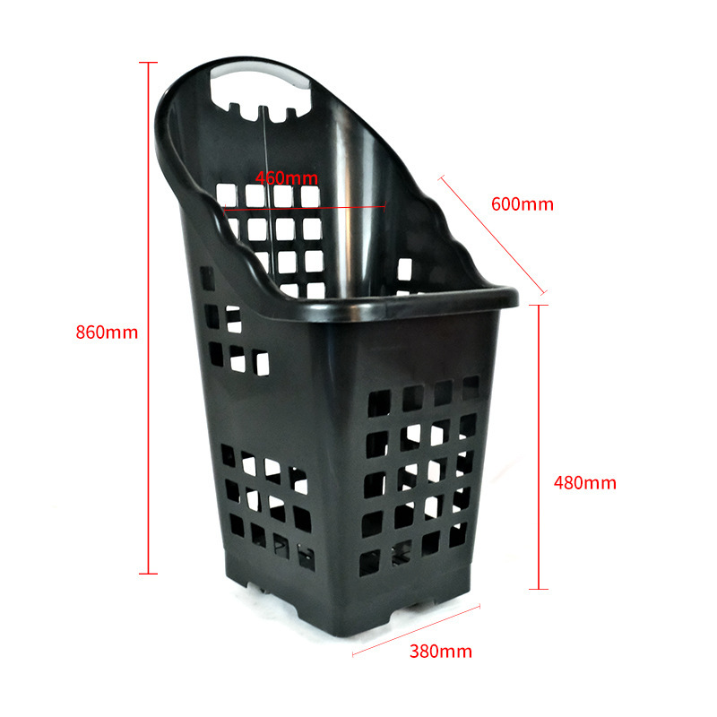 정사이즈 블랙 60L