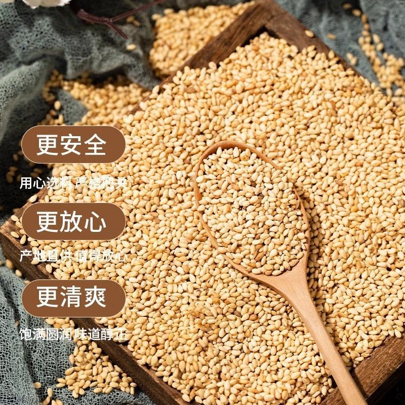新到着の白ごま、きれい、砂なし、洗浄不要、業務用家庭用ベーキング顆粒、香り豊かでサクサクした調味料ごま|undefined