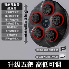 家庭用新型スマートボクシング標的クロスボーダーbluetooth音楽フィットネス反応ストレス解消散打子供掛けメーカー