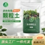 多肉透气通用型仙人球营养土