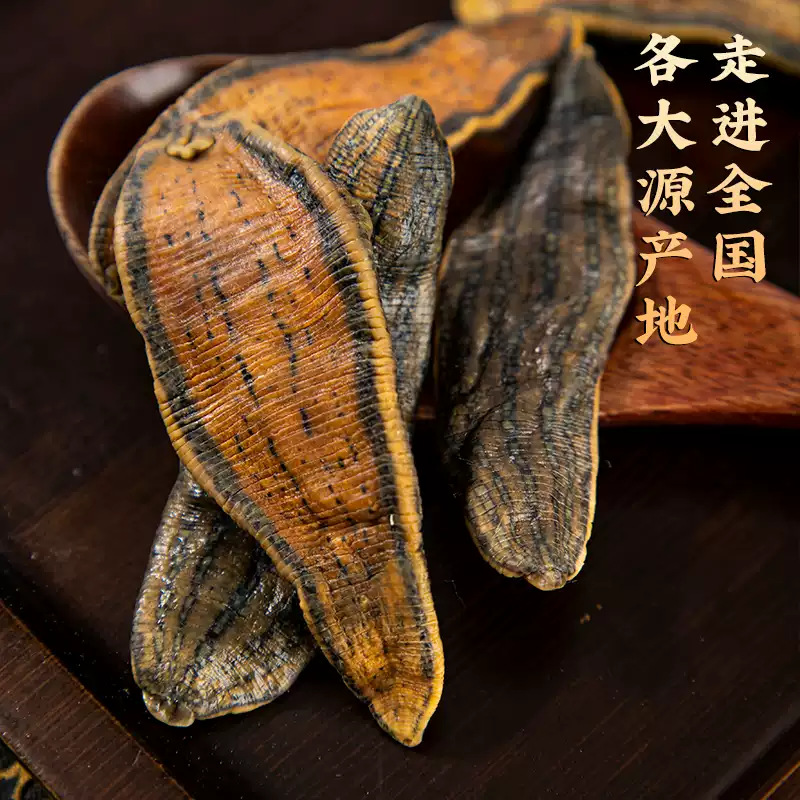 Dried Leech Shui Zhi 水蛭 Whole Hirudo Nibbling Medicinal Herb 500g key features