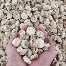 Ģ����؛��Ģ������ԭҰ���p�߹�����ϵ��Ї����]���ڰ�Ģ����؛