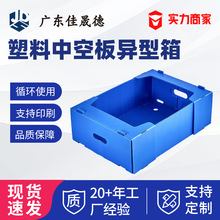 ɽPPпհ宐}λз֒гзռ{D