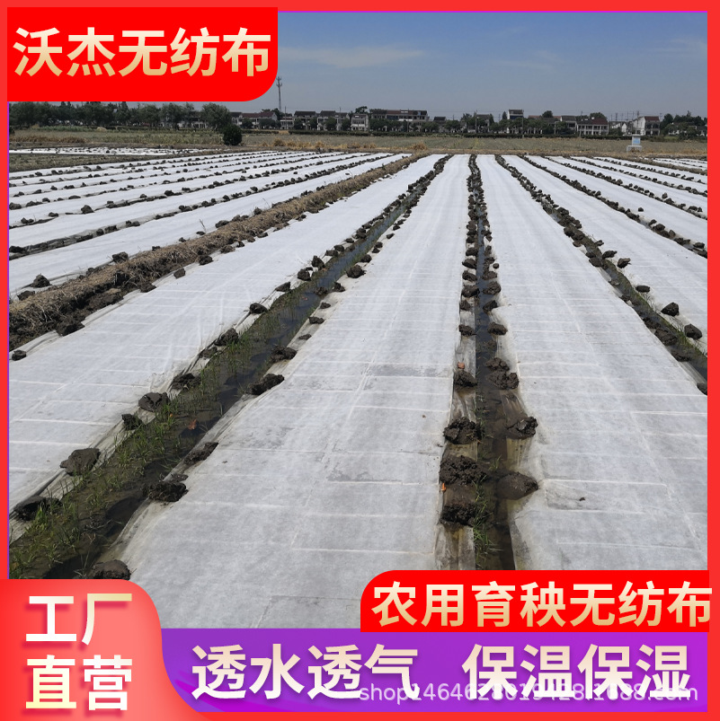 聚丙烯PP纺粘无纺布农业育苗防寒保暖园林绿化盖土护坡防尘无纺布
