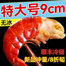 优质正宗虾尾鲜冻鲜活小龙虾无冰衣龙虾尾级大龙虾尾10斤整箱磊萌