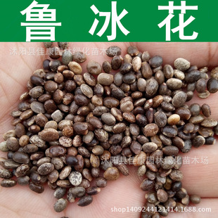 �ݻ��N�� �������N�� ���ȶ��N�� �������������N�� 1��=1��