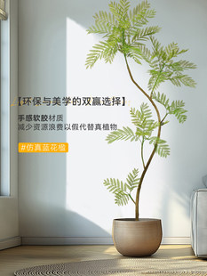 �{��麷���Gֲ�߼����҃ȿ͏d�����������ط���ֲ��٘��쾰�^
