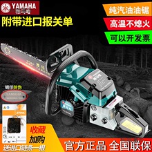 ���]�ձ��M�����R���ě_����䏴����������䏷�ľ��ֳ���̫��