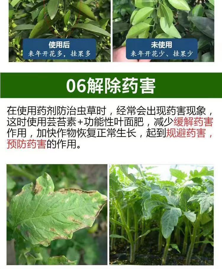 微信图片_20240425163700