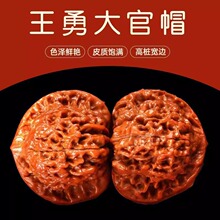 ������ҹ�ñ�����Ǫ{���^���^�ְѼ��Cˢ���{��ʿ������Ұ���