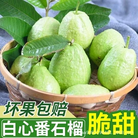 块茎类;苹果;其他蔬菜