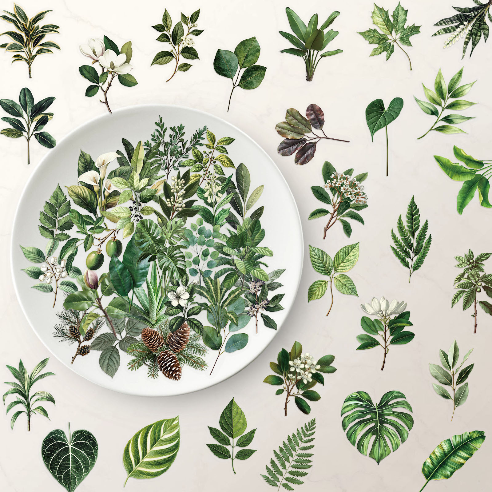 50 hojas verdes transparentes paquete de pegatinas a prueba de agua PET decoración de cuentas de mano cuaderno de guitarra pegatinas de plantas verdes creativas image 3
