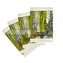 ���S���Ƶ�̺�豭�|�����������L���|�������K�|���������̺���|