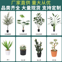 �F؛����Gֲ���� �����J�C���� �͏d�k�����������ֲ�����Ԕ[��