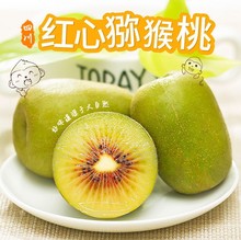 四川蒲江红心猕猴桃当季新鲜包邮整箱水果大弥猴桃孕妇奇异果