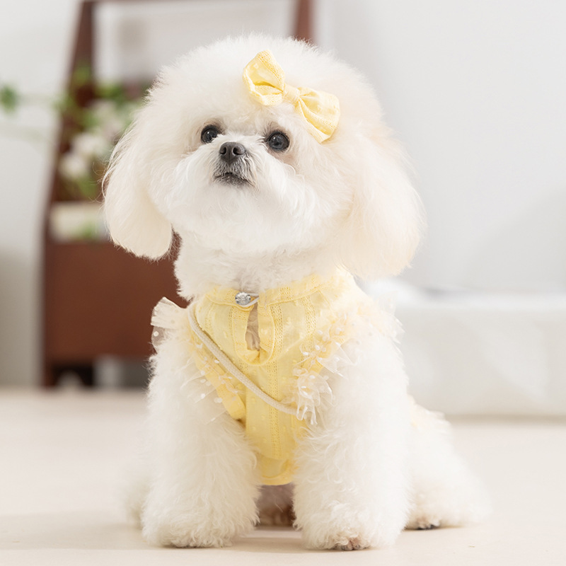 Chaleco de bolso de encaje pastoral tranquilo amarillo perro pequeño bichón peluche mascota perro sin mangas perrito ropa image 1