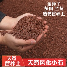 四川天然风化石金弹子兰花多肉生根营养土酸性土渗水石红土颗粒