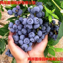 {ݮ{ݮϱNֲ۴ͥԺ̨Թ箔Y