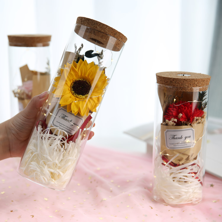 Cadena de luz recta jarrón de vidrio cilíndrico de corcho seco florero creativo transparente florero decoración de escritorio