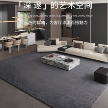 双色菠萝圈加厚地板耐磨防滑地毯家用客厅卧室玄关现代轻奢定制