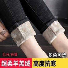 ���޼Ӻ�ţ�п�Ů��������2026�����Ը��������ȴ��޾ŷ�С�ų���