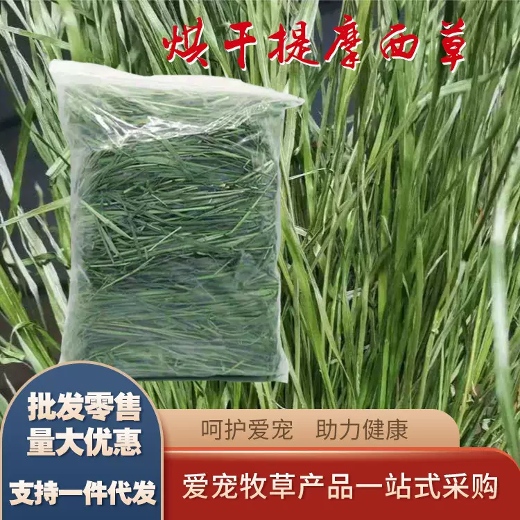 烘干提摩西草 兔子干草龙猫荷兰猪豚鼠宠物牧草干粮袋装500g提草