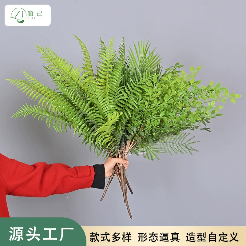 Моделирование папоротника мимозы анчоусы листья папоротника растения стены мягкого ландшафта