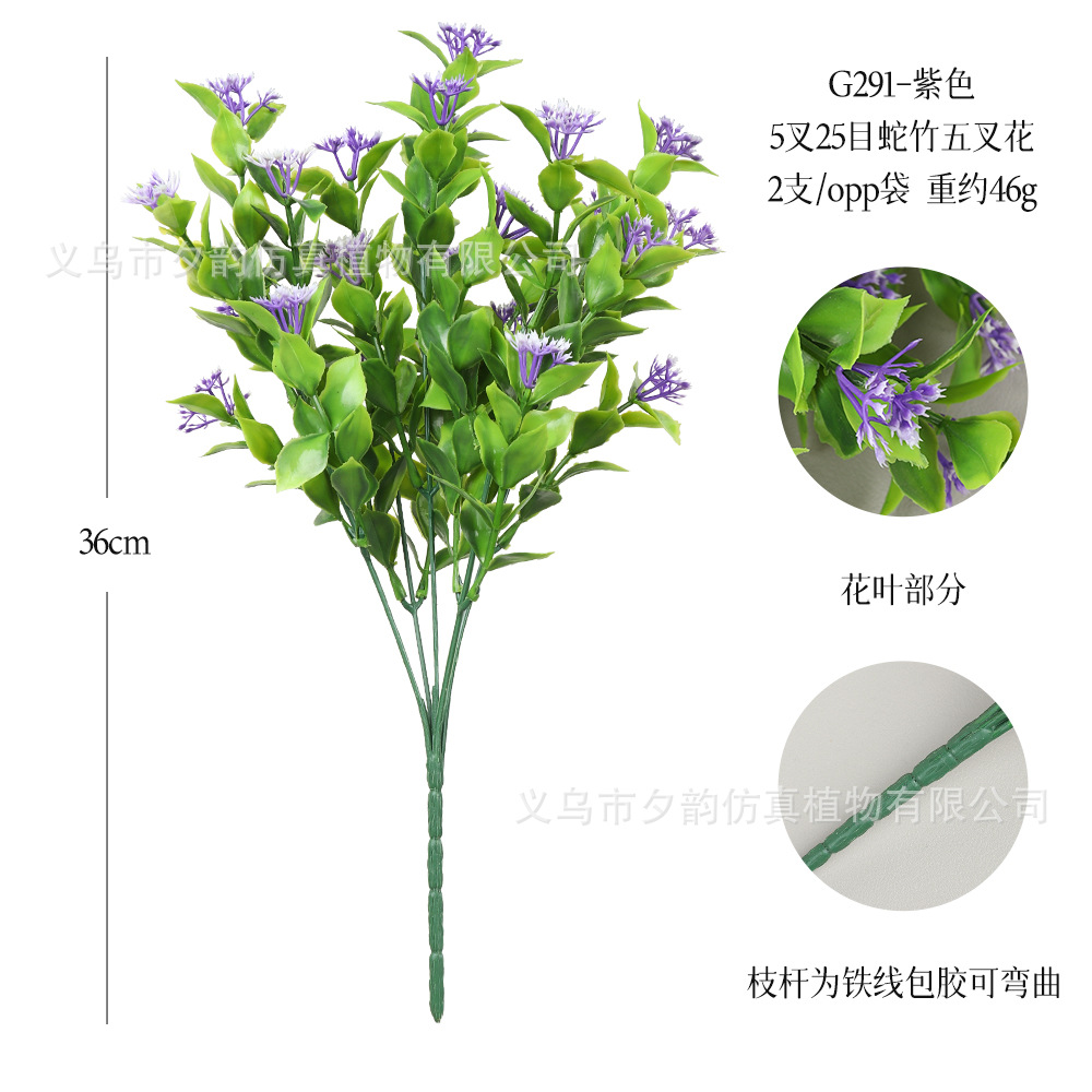 G291-보라색 다섯 갈래 뱀 대나무 다섯 갈래 꽃