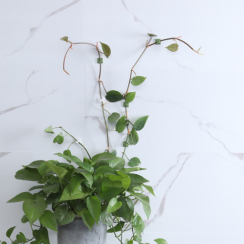 Green ivy wall mounting clip plant vine holder no-drill climbing vine clip climbing hook