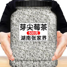 龙须莓茶张家界野生 湖南湘西土特产 张家界莓茶嫩芽藤茶霉茶