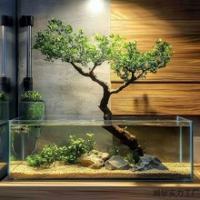 ˮ��÷ˮ���~���쾰�����Gֲ�ļ�����������������Ϸ����Ϙ�