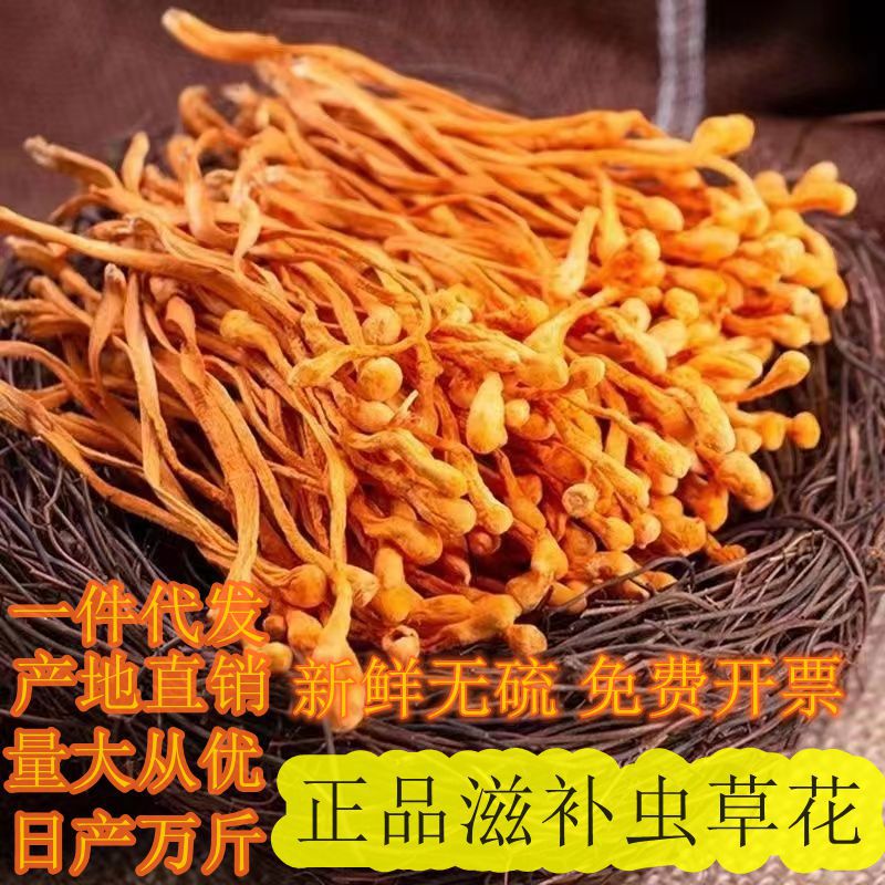 虫草花大量批发农家菌菇无熏硫食用菌菇煲汤进补食材散装批发虫草