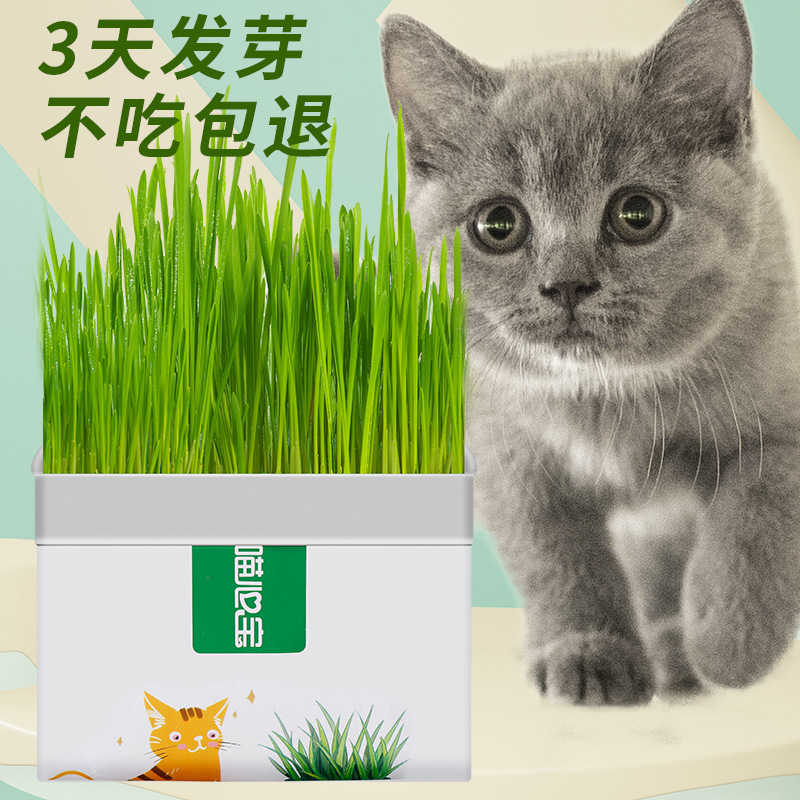 Cat grass New bagged barley potted lazy hydroponic soilless kitten herbivorous fur ball grass cat snack supplies