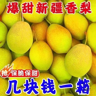 �½��젖���������rˮ������3/5/10�ﱡ���摪���t����������
