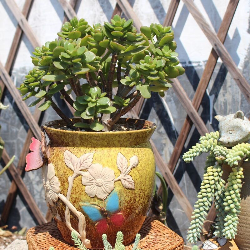Large-sized, wide-mouth indoor flower pot, coarse pottery, breathable, creative design, suitable for succulents, featuring butterfly and bird motifs, vintage style Large-sized, wide-mouth indoor flower pot, coarse pottery, breathable, creative design, suitable for succulents, featuring butterfly and bird motifs, vintage style
