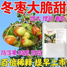 䌣÷ʷϏͺϾጷN仯ʘwͨ