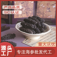 智信堂国标大连辽刺参淡干海参干货参刺挺拔批发大连海参批发价