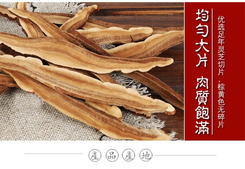 Lingzhi Reishi Mushroom Slices 500g Ganoderma lucidum Dried Herbal Slices for Tea Wine and Decoction in use