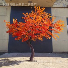 tٗ͏d҃ȼ٘bSʽͷGֲ