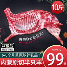 斤半只羊内蒙古手把羊肉批发新鲜羊蝎子羊排烧烤食材羊腿肉斤