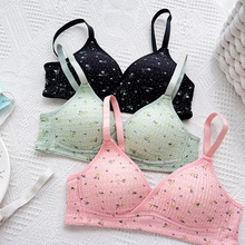 |ρ羳黨oȦһwСؾ۔nո´Ů