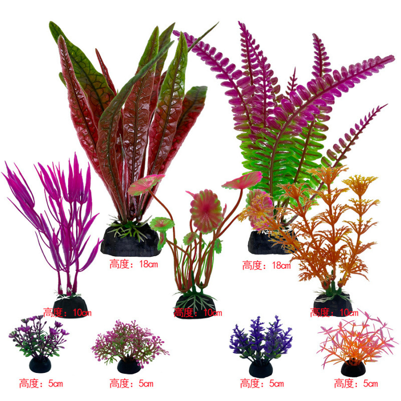 멀티 컬러 패키지