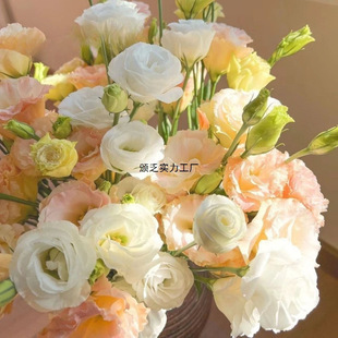 �����������ֱ�l���r��۹���đ���滨��������l�҃�ˮ�B�r��