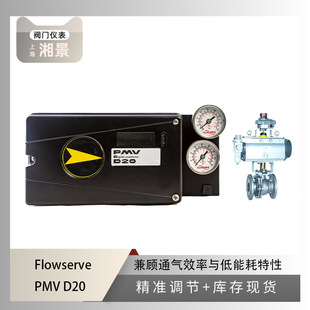 Flowserve ��˹ PMV D20 �y�T��λ������ ���x ܛ�ܷ⸡�������y