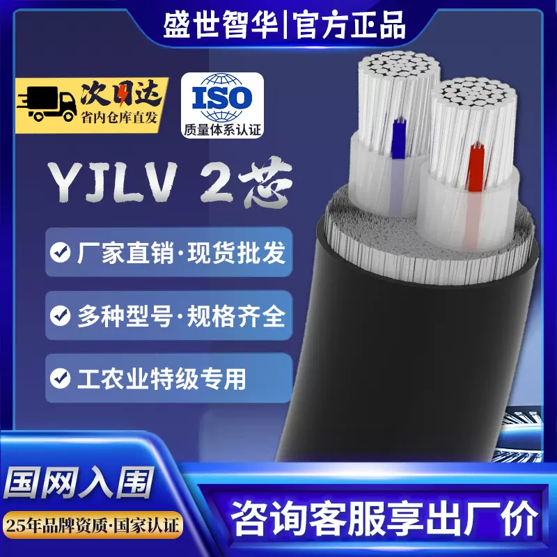 国标防老化两芯铝芯电力电缆10 16  25 35 50 70平方双股纯铝电线