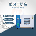 厂家直销智能数显恒温鼓风干燥箱 噪声低双层钢化玻璃 质保一年