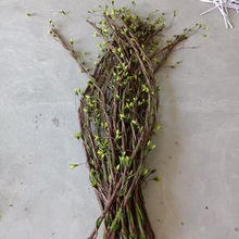 ����ֲ����ܛ�b������ˇ�徰�Ҿ��bl�ݲ��Ͽݘ��ٗl��֦���l