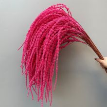 ?cõtɫĻYõ픻ˇ·廨Żb쾰