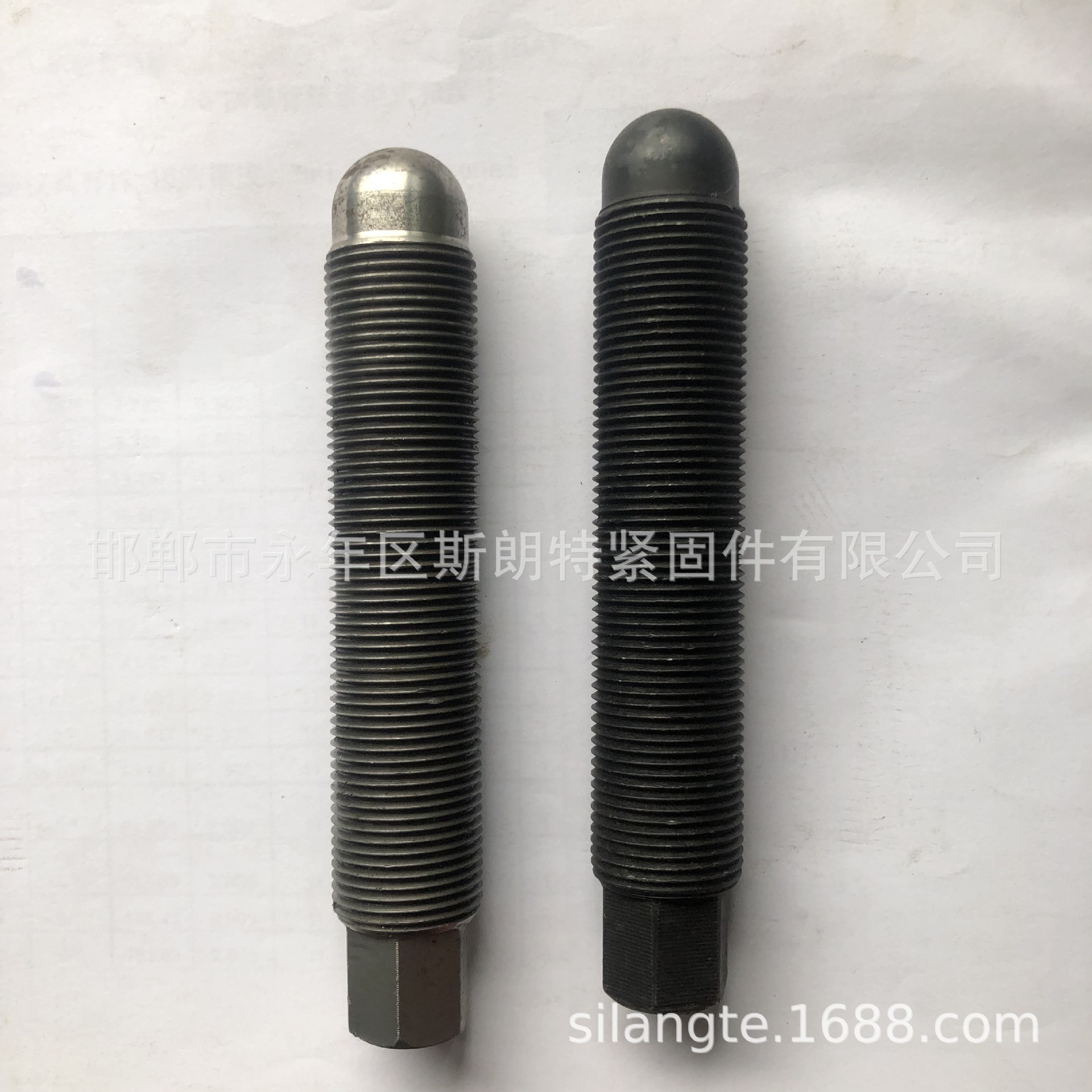 ˿  ˿   ˨ س˿ ܶ˿